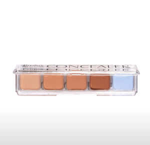 PROLUX CORRECTORES (morado)